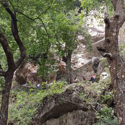 1F8DE640-CC20-40F0-828C-BB27D6D3C87C