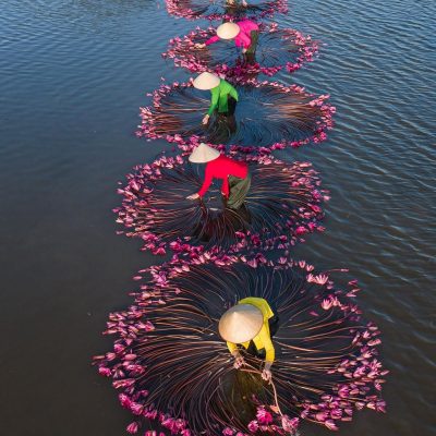 95F67214-7DE0-4208-8791-BDEAFABAD736